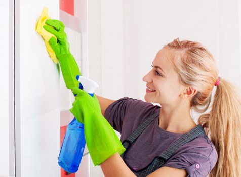Gutter cleaning service for period homes in SW7