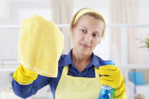 Professional upholstery cleaning for sofas in a SW7 home