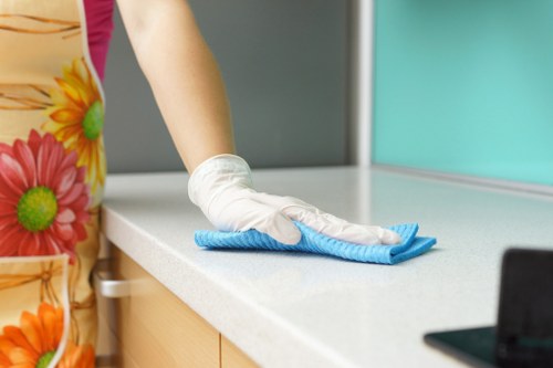 Domestic and commercial oven cleaning for SW7 customers