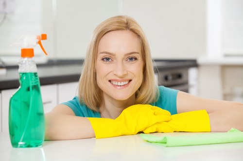 Low-carbon van used for local cleaning travel