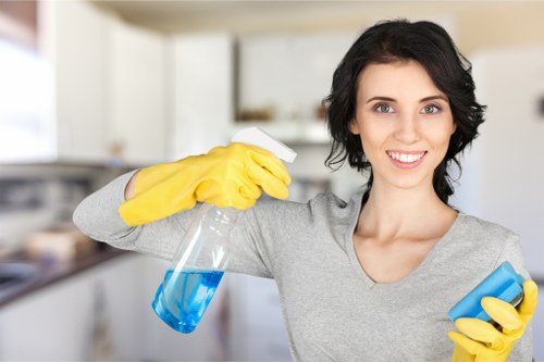 Professional cleaning equipment used for local stain removal
