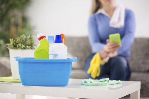 Local domestic cleaner working in a SW7 apartment building