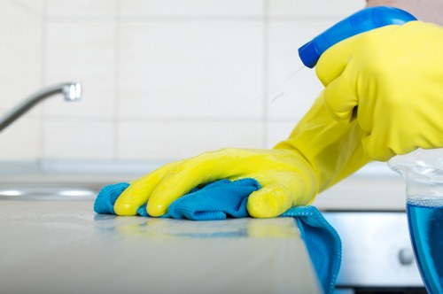 Local SW7 pet stain odour removal for homes, rentals, and businesses