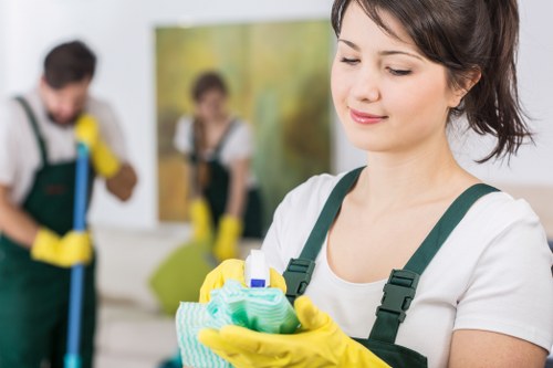 Professional rug inspection and stain treatment in SW7