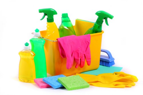 Weekly cleaning in a period flat near Gloucester Road, SW7