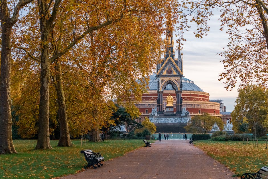 A broad view of the Royal Albert Hall exterior in autumn, captured from a paved pathway lined with mature trees displaying orange and yellow foliage. The historic building features ornate architectural details, a central golden statue, and a distinctive domed roof with a spire. The scene is illuminated by soft, natural light, with a few people strolling or sitting on benches in the nearby park, which appears well-maintained with trimmed grass and some scattered fallen leaves. As part of its comprehensive domestic cleaning and surface maintenance, Cleaners SW7 ensures properties surrounding such landmarks are kept pristine, reflecting high standards of hygiene and presentation.
