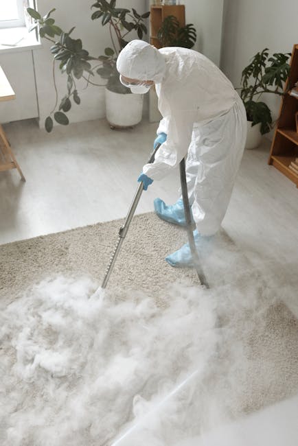 A professional cleaner dressed in a full white protective suit, face mask, and blue gloves is performing deep carpet cleaning using a steam cleaning machine on a beige, plush carpet in a well-lit, modern living room. The room features a large window allowing natural light, white walls, and wooden furniture, including a small side table and shelves with decorative items. Potted plants are visible near the window, adding greenery to the space. The cleaning process appears thorough, with visible steam or cleaning solution being applied to the carpet, reflecting hygiene and proper maintenance. The setting highlights surface cleaning and sanitisation services provided by Cleaners SW7 near South Kensington station, SW7.